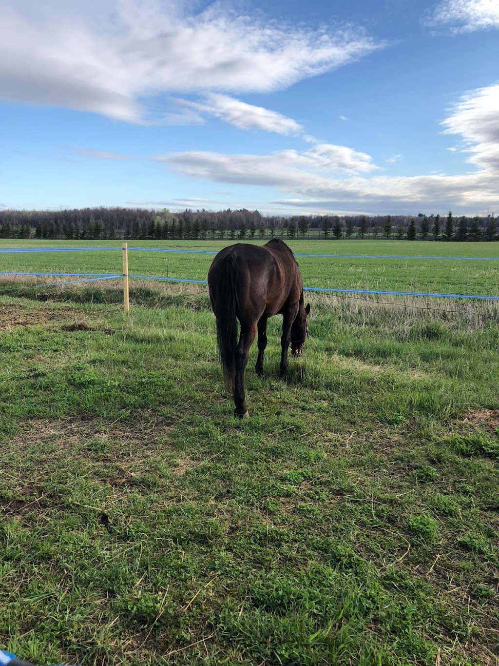 Equestrian Center Cl | 1135 Rue Pernaud, Saint-Lin - Laurentides, QC J5M 1G9, Canada | Phone: (438) 993-9349