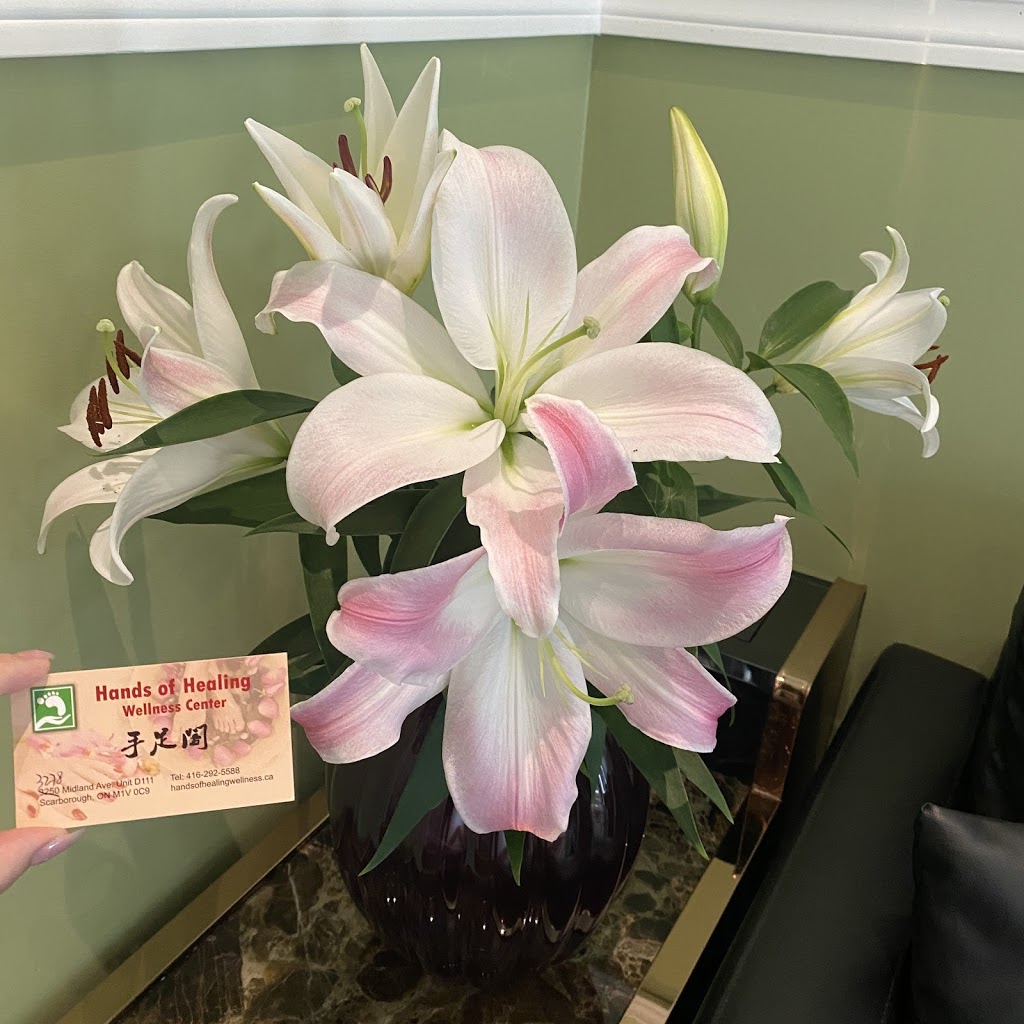 Hands Of Healing Wellness Centre | 3278 Midland Ave Unit D111-D112, Scarborough, ON M1V 0C9, Canada | Phone: (416) 292-5588