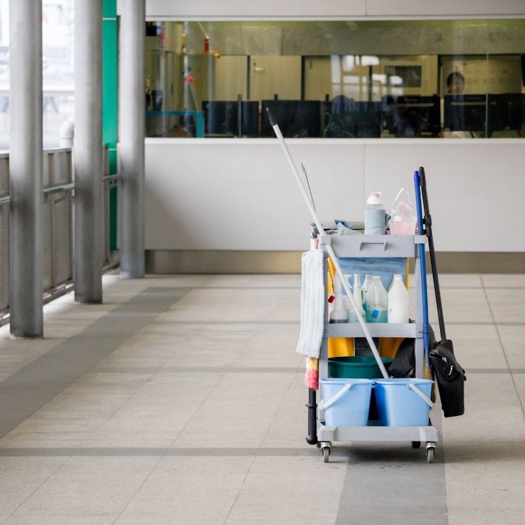 Fine Cleaning Services Surrey | 10065 129 St Unit# E, Surrey, BC V3T 3G6, Canada | Phone: (604) 337-1272