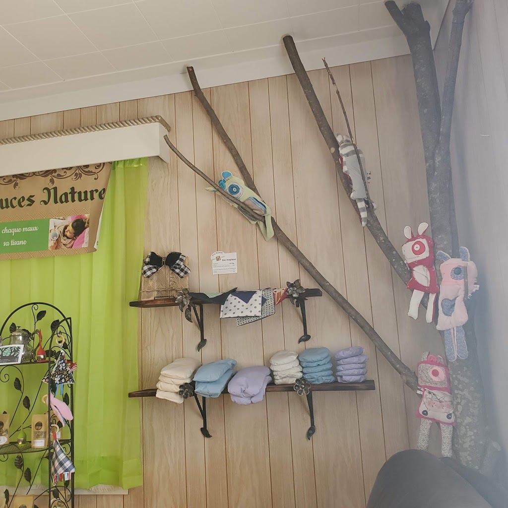 Astuces Nature | 1009 Rue Saint Georges, Saint-Bernard, QC G0S 2G0, Canada | Phone: (418) 209-2705