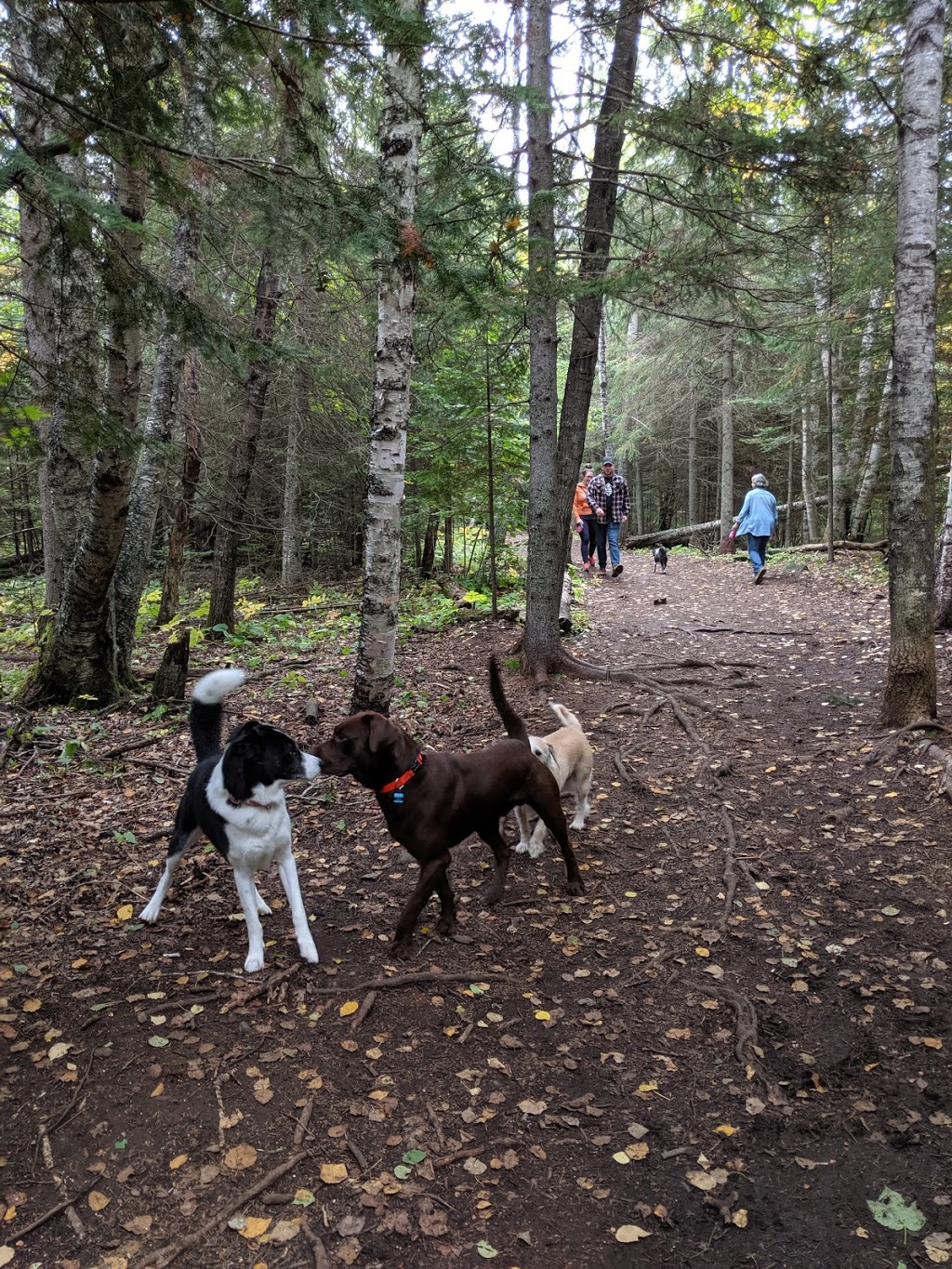 Centennial Park | 751 Centennial Park Rd, Thunder Bay, ON P7A 7K9, Canada | Phone: (807) 683-5762