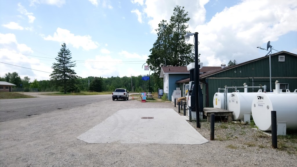 Palmerston Lake Marina | 9637 Road 509, Ompah, ON K0H 2J0, Canada | Phone: (613) 305-1723