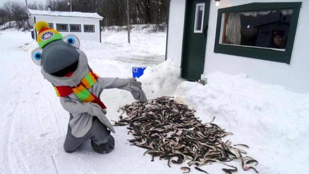 Centre de Pêche Baril | 730 Montée de lEnseigne, Sainte-Anne-de-la-Pérade, QC G0X 2J0, Canada | Phone: (418) 325-2687