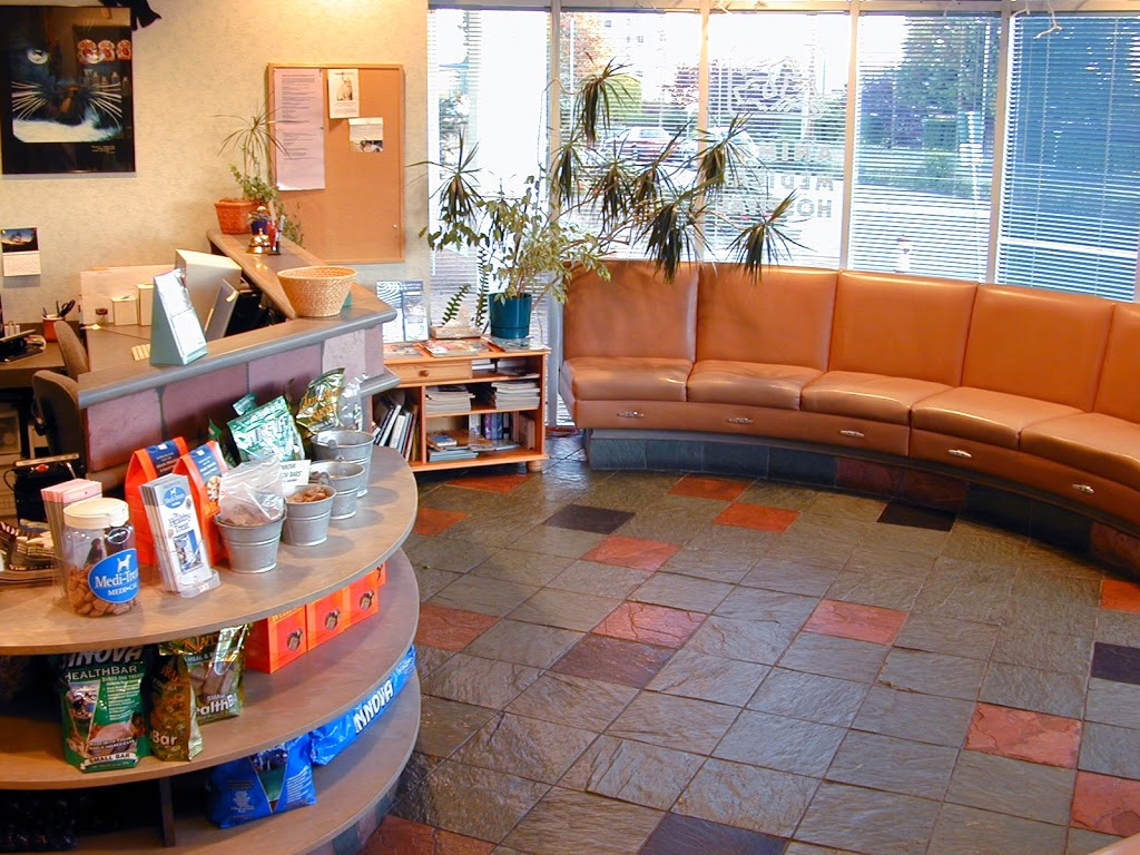 Animal Medical Hospital | 2459 Bellevue Ave, West Vancouver, BC V7V 1E1, Canada | Phone: (604) 926-8654