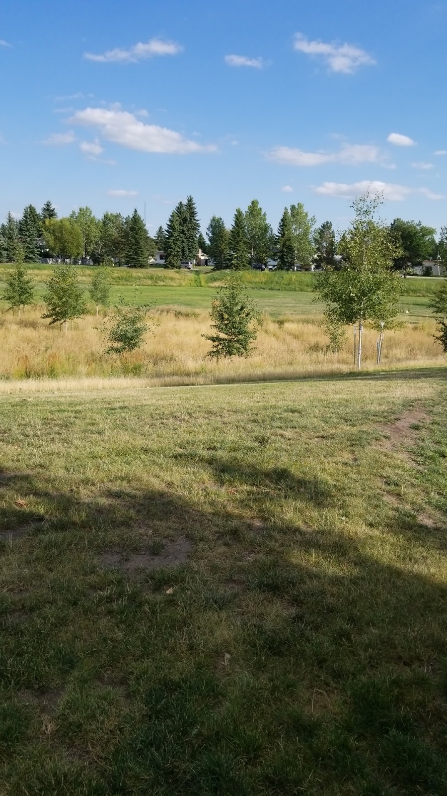 Charles Anderson Park | 3803 105 St, Edmonton, AB T6J 2K6, Canada