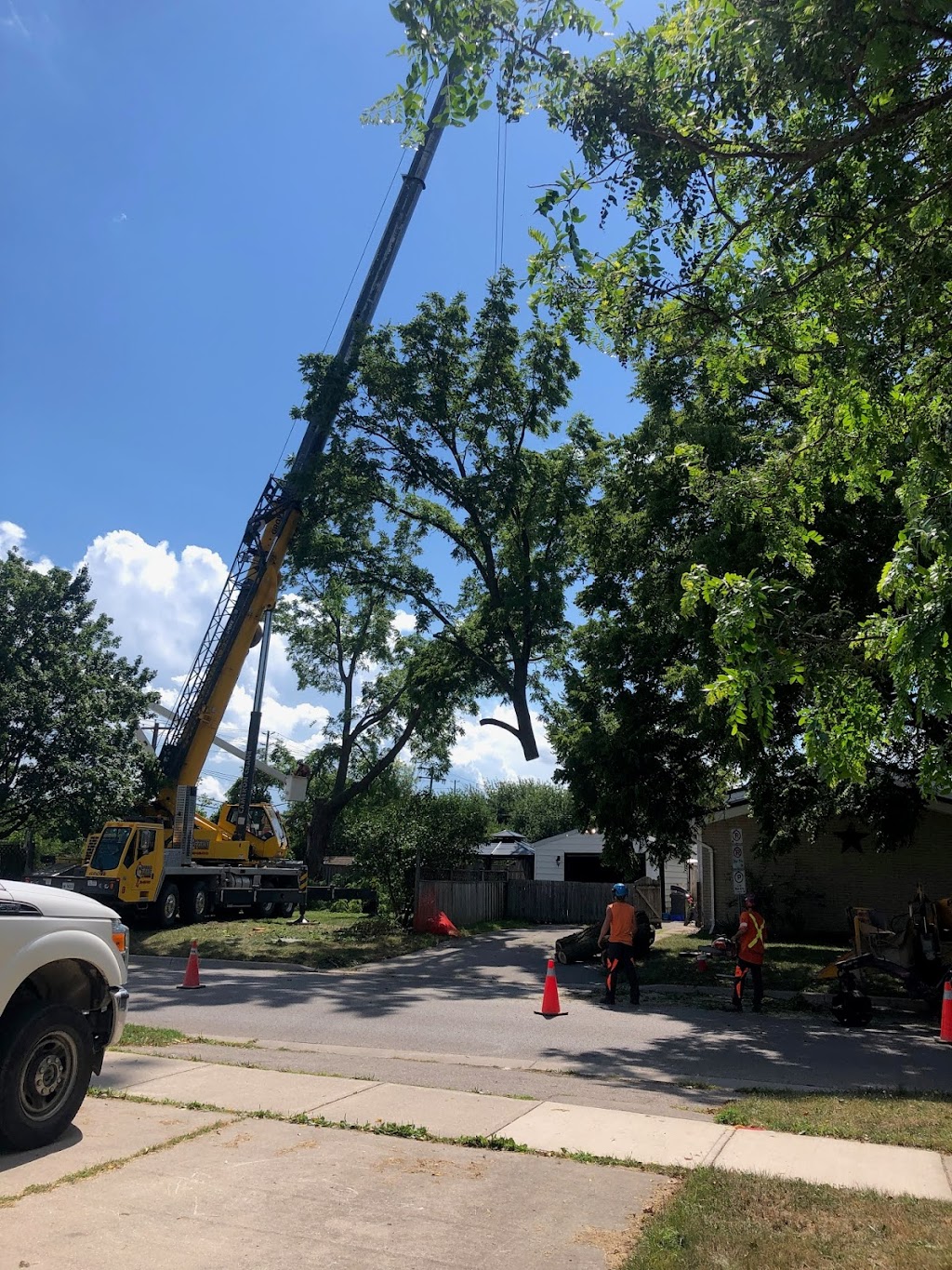 CLC Tree Services Ltd | 7024 Kerr Rd, London, ON N6N 1C5, Canada | Phone: (519) 685-0257