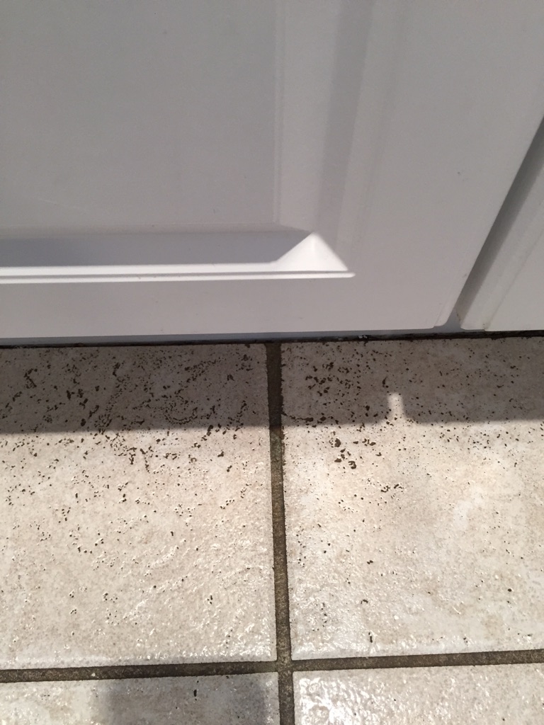 Enviro Clean Grout & Stone Care Inc. | 424 - 4210 139 Ave NW, Edmonton, AB T5Y 2W6, Canada | Phone: (780) 417-9080