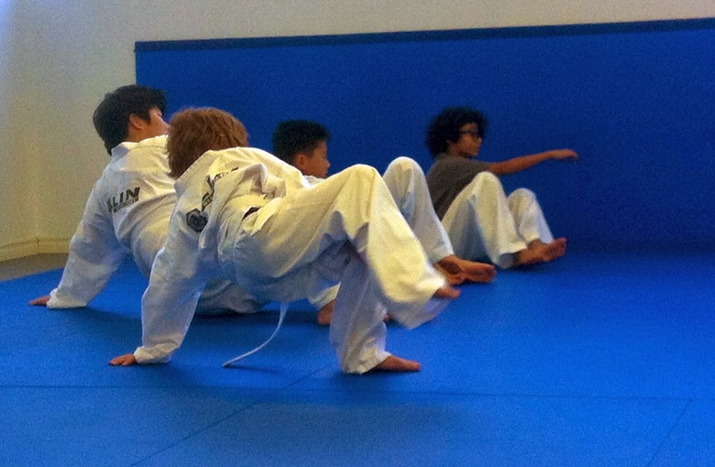 Lin Martial Arts | 100 Steelcase Rd E suite 201, Markham, ON L3R 1E8, Canada | Phone: (905) 213-9260