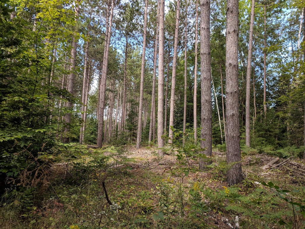 Pefferlaw Tract | 24408 Lake Ridge Rd, Pefferlaw, ON L0E 1N0, Canada