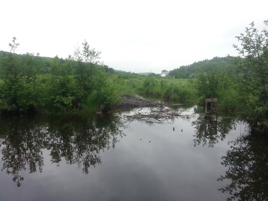 Plage Pélissier, Lac McGregor, ValdesMonts, Qc ValdesMonts, QC