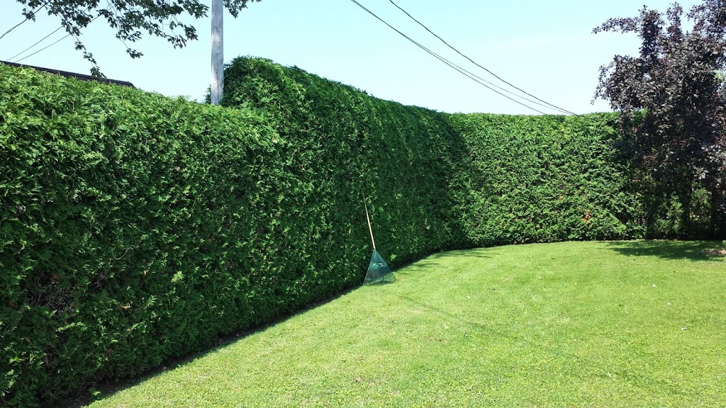 Entreprise M.V Service dentretien | 496 Rue Généreux, Joliette, QC J6E 7R3, Canada | Phone: (450) 752-7861
