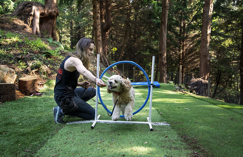 Bowen Island Dog Ranch | 1302 Adams Rd, Bowen Island, BC V0N 1G0, Canada | Phone: (604) 947-6965