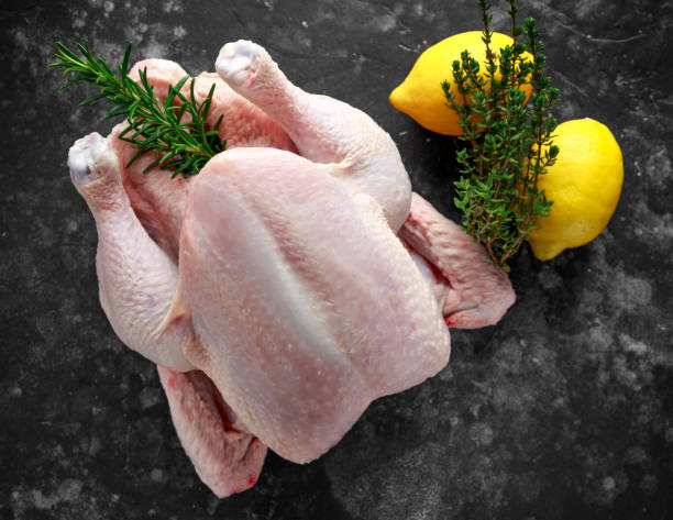 Four Favourites Farm | 344 Concession 13 Walpole, Hagersville, ON N0A 1H0, Canada | Phone: (905) 648-3747