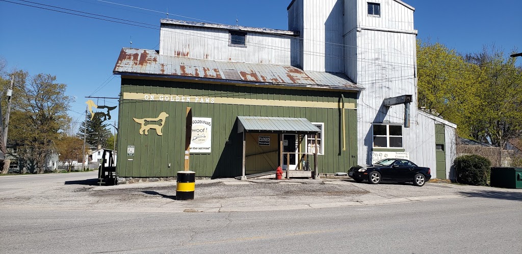 On Golden Paws-Puppy and Dog Training, Puppy Imprinting Service | Varna, ON N0M 2R0, Canada | Phone: (519) 233-3647