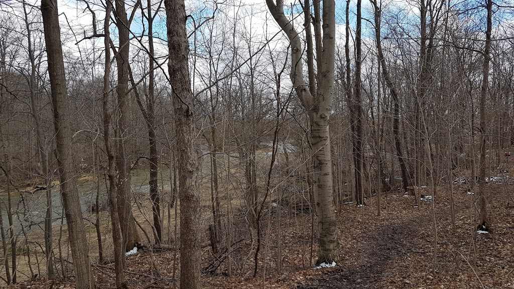 Lucan Conservation Area | Ailsa Craig, ON N0M 2J0, Canada