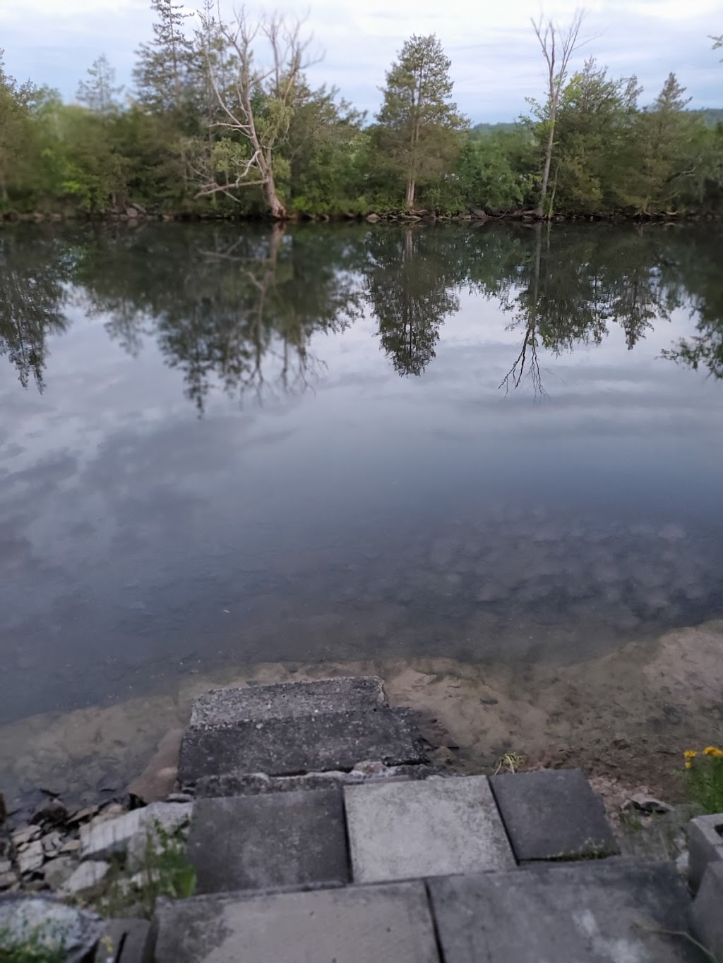 The Cedars Waterview Campground Inc. | 359 Frankford Stirling Rd, Quinte West, ON K0K 2C0, Canada | Phone: (613) 438-4417