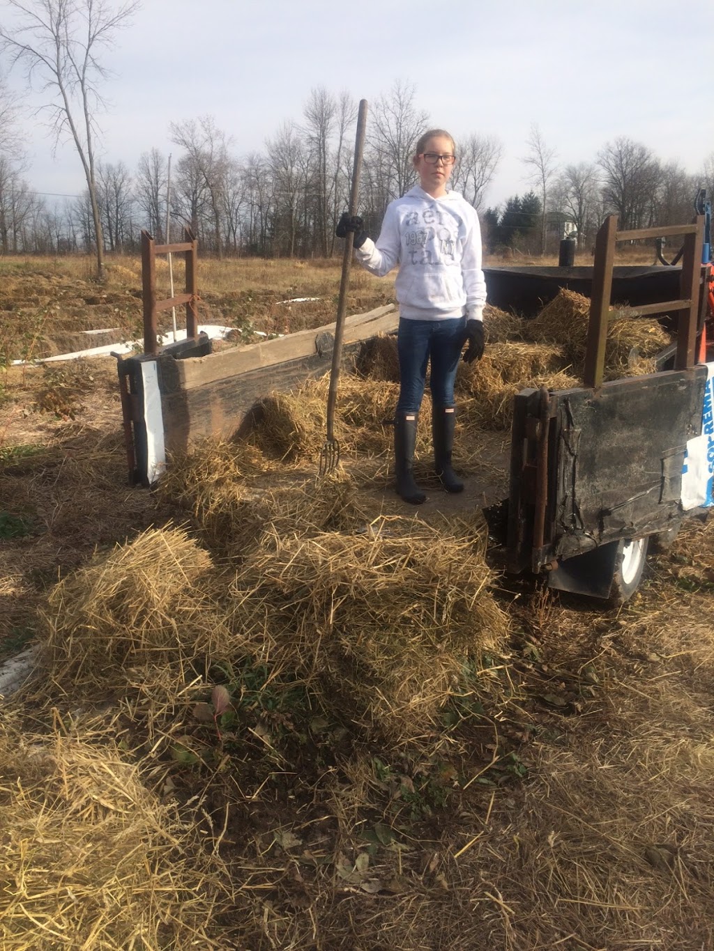 Meadowview Farm Leonard Homestead Since 1840 s | 4057 Boyce Rd, Harrowsmith, ON K0H 1V0, Canada | Phone: (613) 484-5037