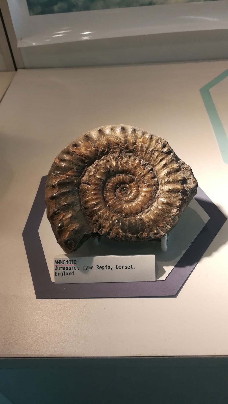 Robert B. Ferguson Museum of Mineralogy | 125 Dysart Rd, Winnipeg, MB R3T 2M7, Canada | Phone: (204) 474-9371