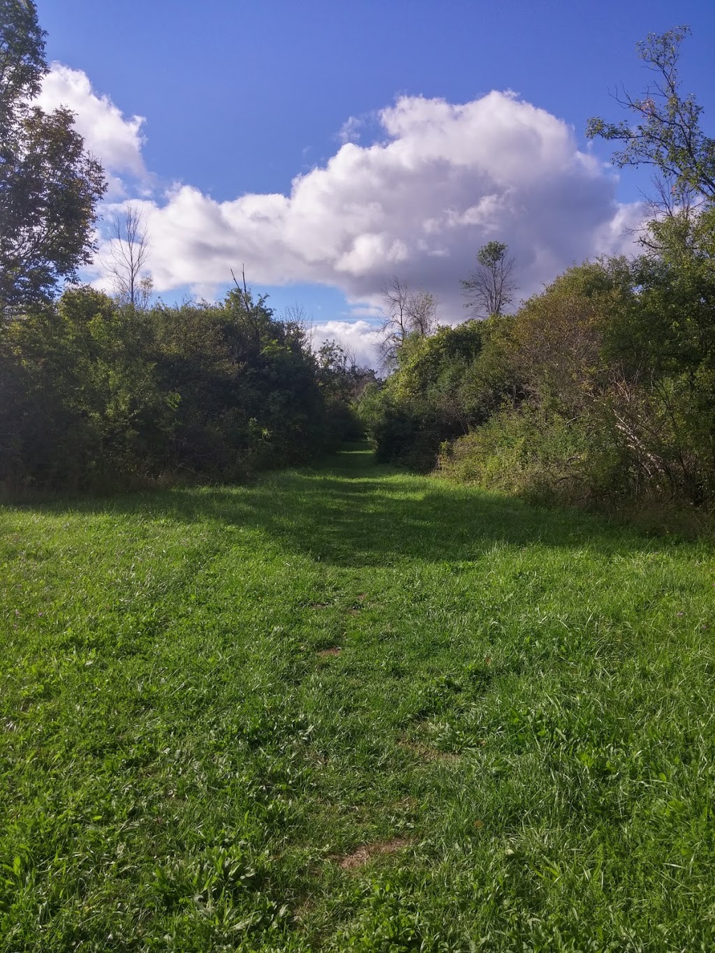 Clarence Nature Center | Thompson Rd, Clarence, NY 14031, USA | Phone: (716) 984-9046