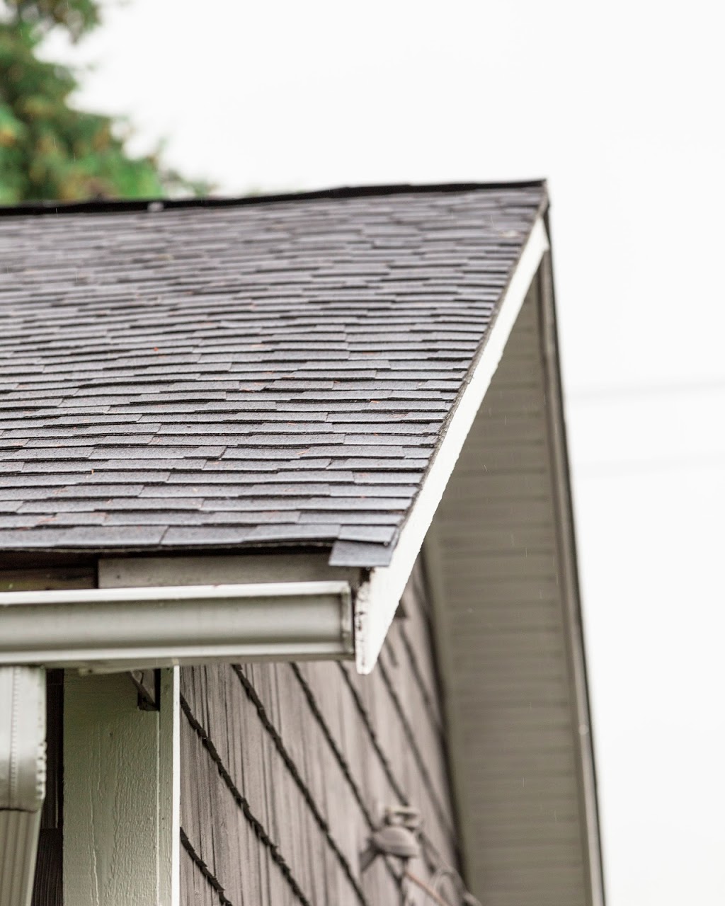 Blanchard Roofing | 420 E 3rd St, North Vancouver, BC V7L 1G2, Canada | Phone: (778) 917-7663