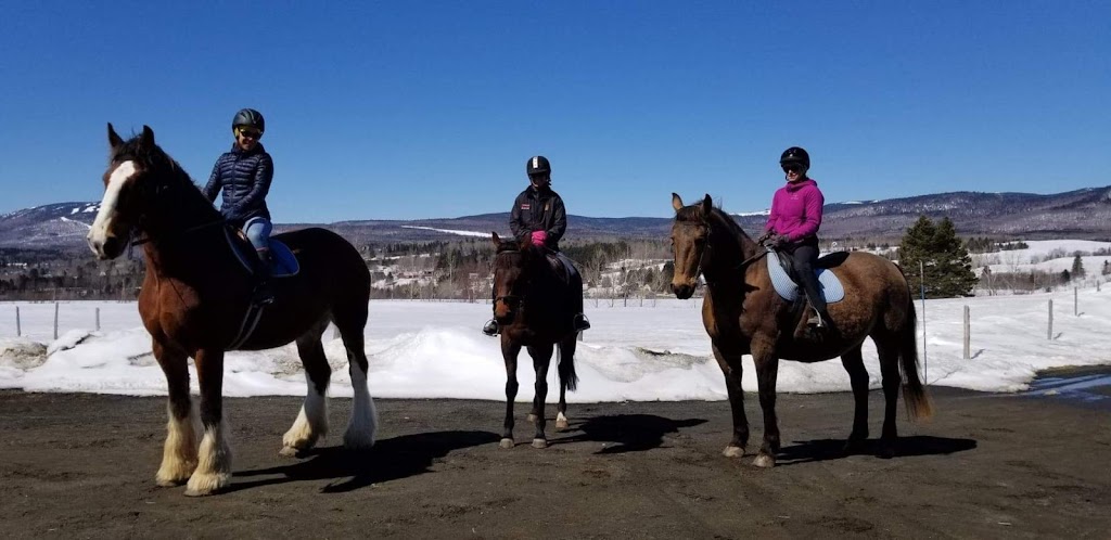 Cheval et campagne | 31 Rue des Grands Prés, Saint-Ferréol-les-Neiges, QC G0A 3R0, Canada | Phone: (418) 572-1922