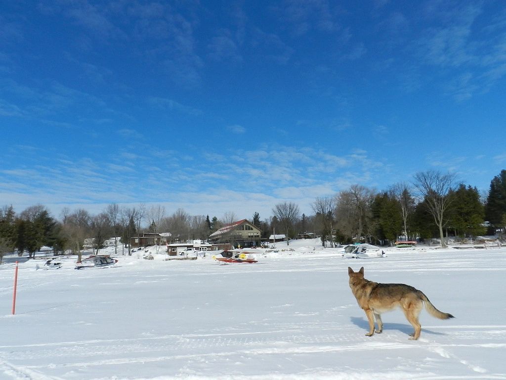 Cedar Cove Resort | 100 Cedar Cove Rd, White Lake, ON K0A 3L0, Canada | Phone: (613) 623-3133