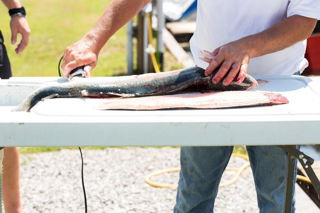 Jimmy Riggin Fishing Charters | 136 Erie Blvd, Port Rowan, ON N0E 1M0, Canada | Phone: (519) 586-7990