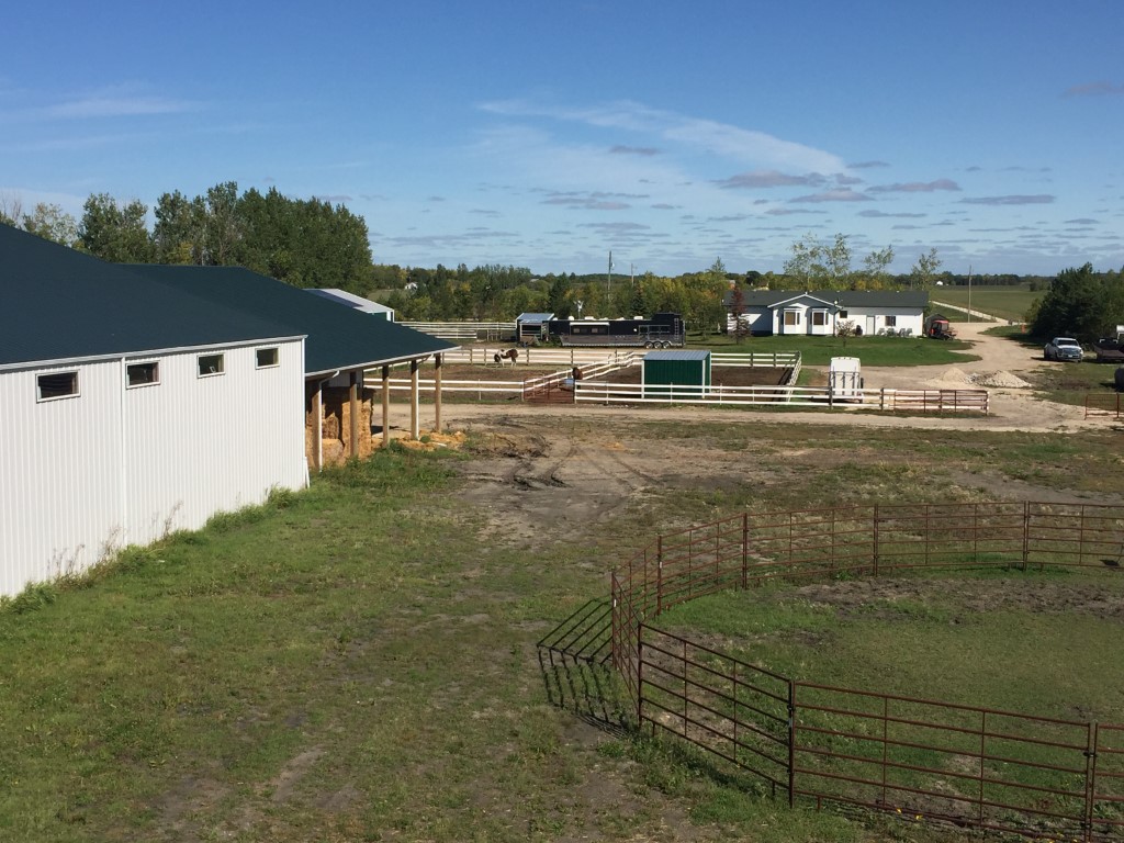 Winsum Equestrian Center | 70032 Willowdale Rd 29E, Cooks Creek, MB R5M 0J5, Canada | Phone: (204) 805-4689
