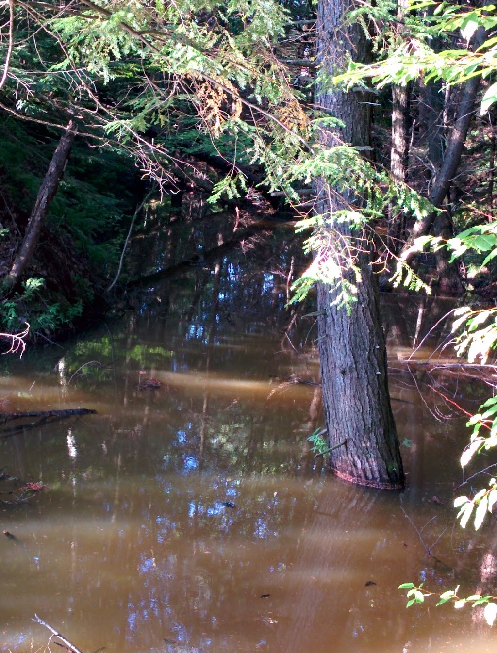 Parc Les Cours Du Ruisseau Noir | 1276 Rue Rodrigue, Terrebonne, QC J7M 0H1, Canada