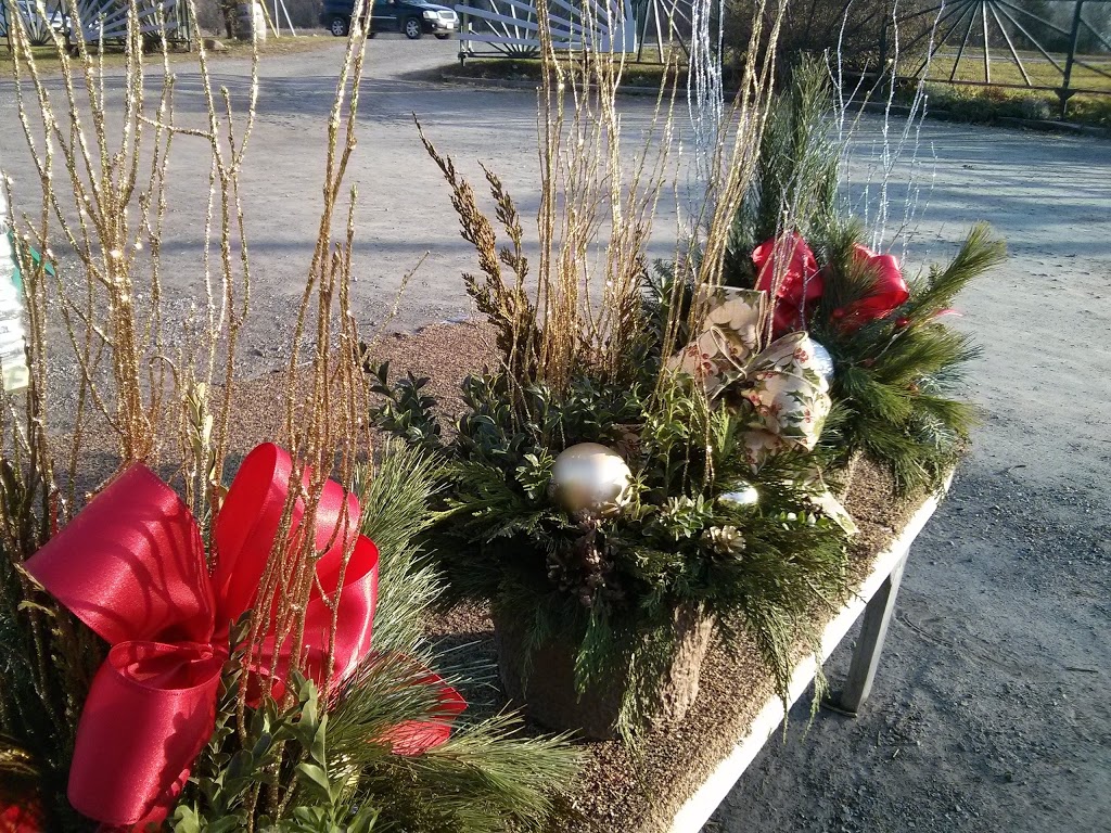 Niagara Nurseries | 1643 Niagara Regional Rd 81, St. Catharines, ON L2R 6P7, Canada | Phone: (905) 682-4783