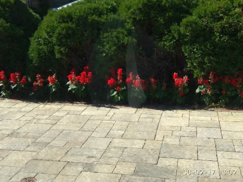 D M Global Ventures | 723 Swan Pl, Pickering, ON L1X 2V7, Canada | Phone: (905) 839-6398