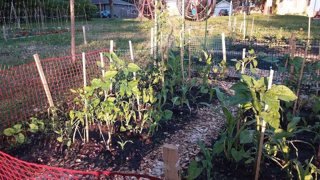 Glen Community Garden | King Edward Ave, London, ON N5Z 3A8, Canada | Phone: (519) 719-5923
