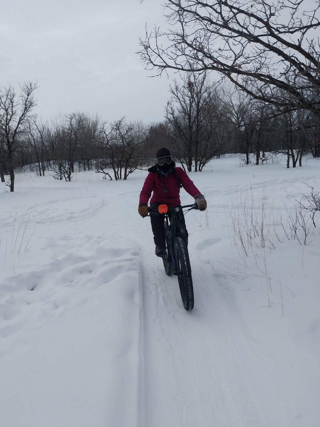 Bur Oak Self-Guiding Trail | Bur Oak Self-Guiding Trail, Springfield, MB R0E 1J0, Canada