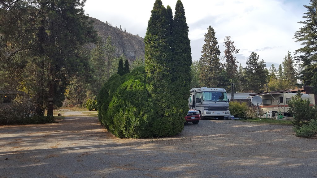 Shady Lane RV & Trailer Park | 1510 Glenmore Rd, Kelowna, BC V1V 2H1, Canada | Phone: (250) 868-1030