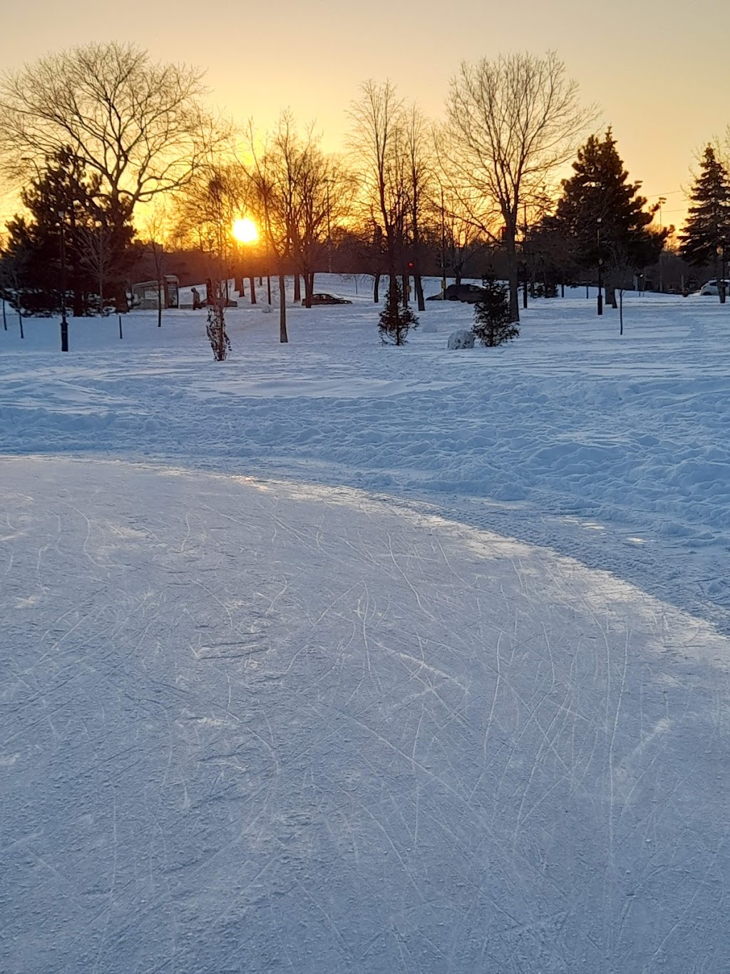 Parc du Père-Marquette | 1602 Rue de Bellechasse, Montréal, QC H2G 1N6, Canada | Phone: (514) 872-0311