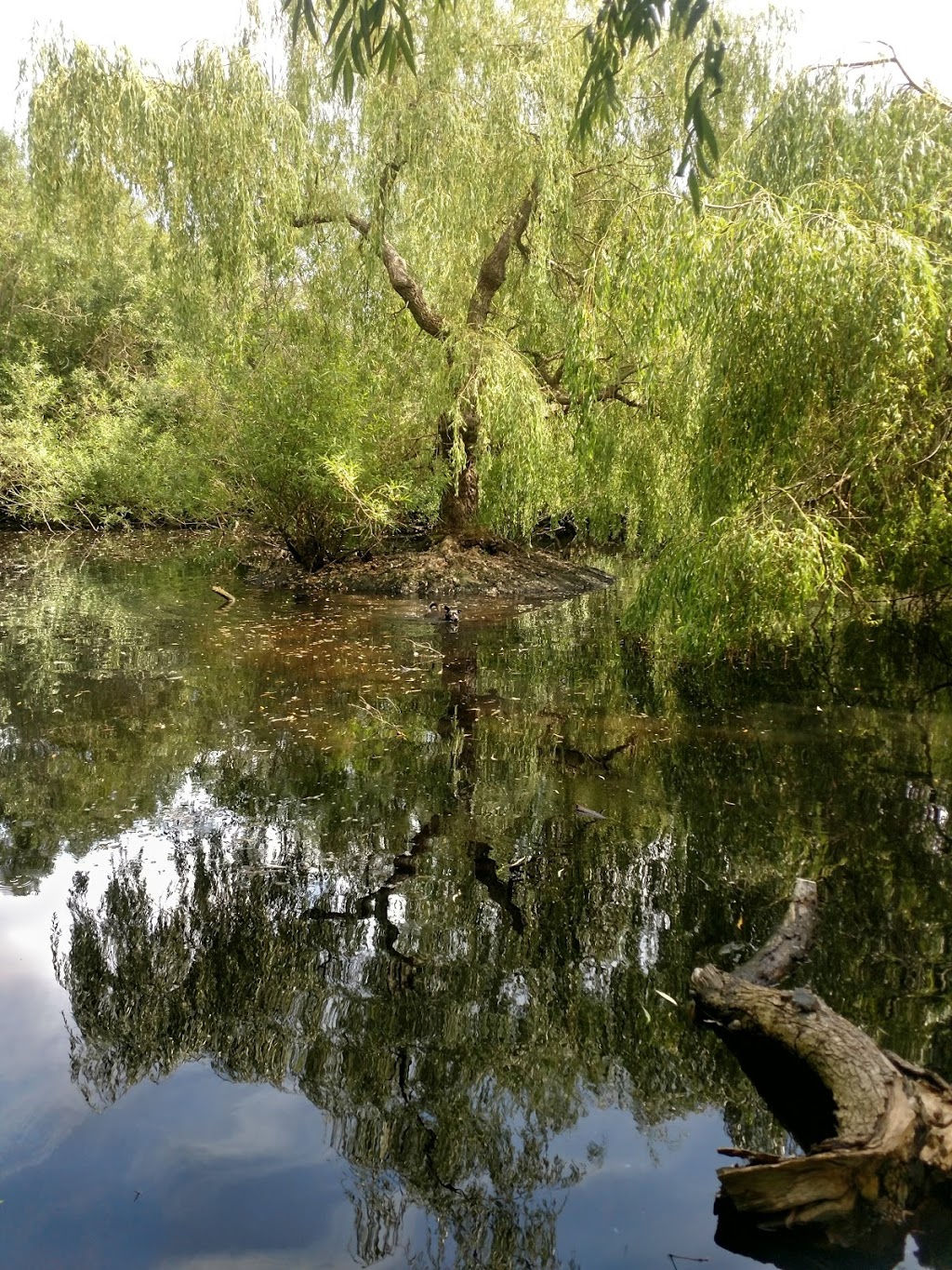Brodick Park | Brodick Crescent, Victoria, BC V8N 5Z9, Canada