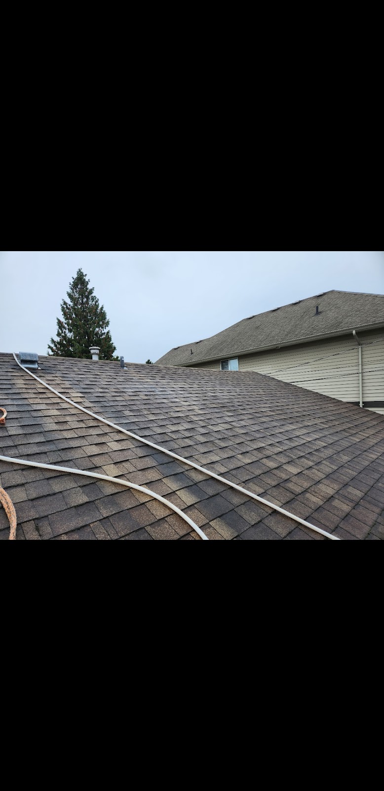 Men With Hoses Softwash | 51516 Chilliwack Lake Rd, Rosedale, BC V0X 1X0, Canada | Phone: (604) 791-0852