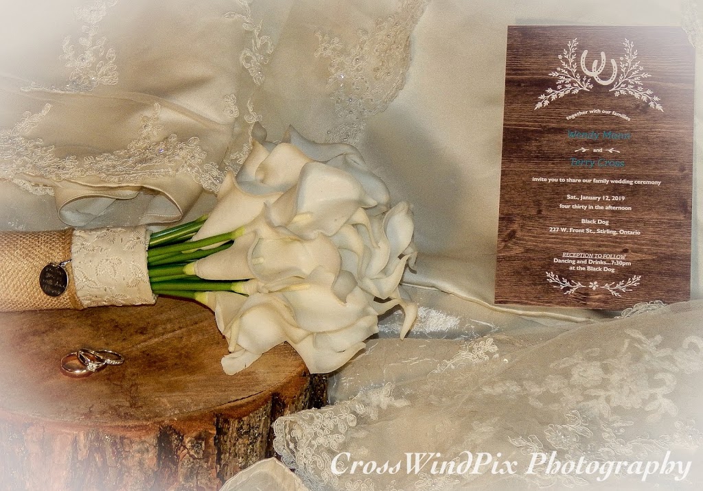 Wendy Cross Photography, CrossWindPix | 8 Mill St, Stirling, ON K0K 3E0, Canada | Phone: (613) 970-4938