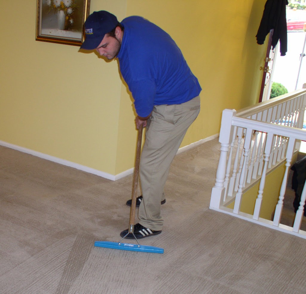 Affordable Carpet Cleaning Services | 155 Marc Santi Blvd, Maple, ON L6A 0K7, Canada | Phone: (365) 800-0330