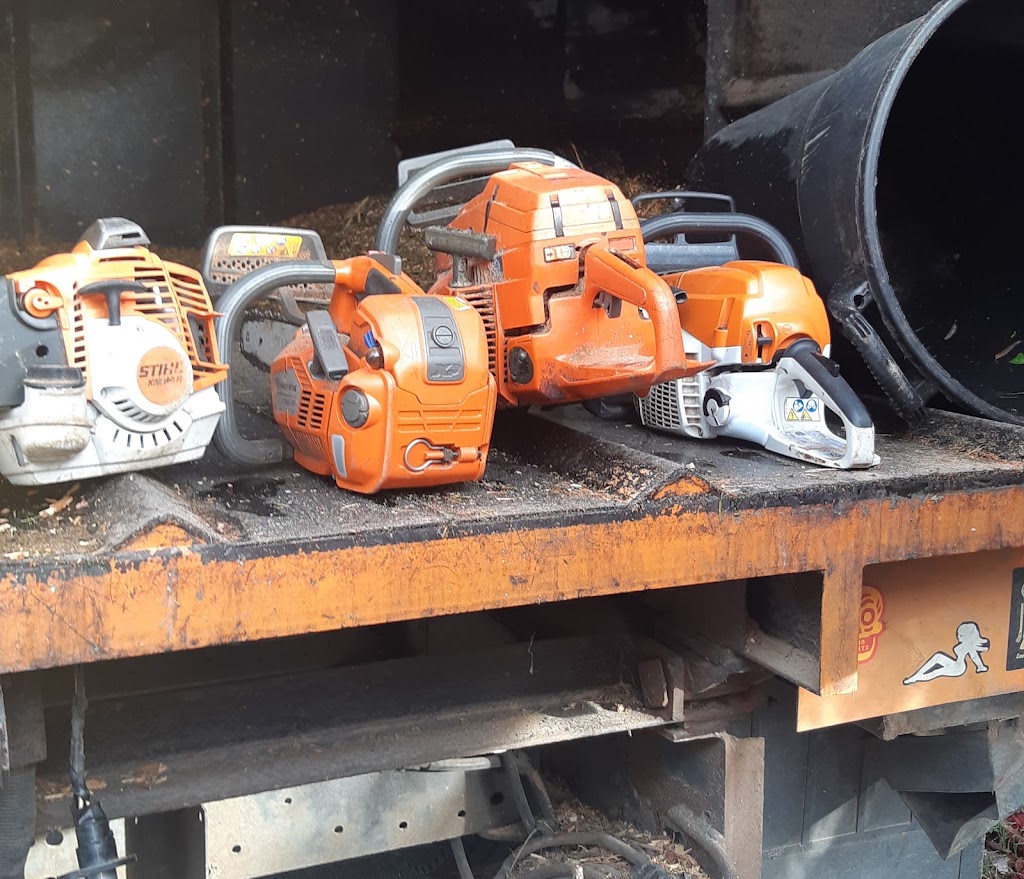 Clear Choice Tree Service | 6389 Homestead Ave, Sechelt, BC V0N 3A7, Canada | Phone: (604) 885-8068