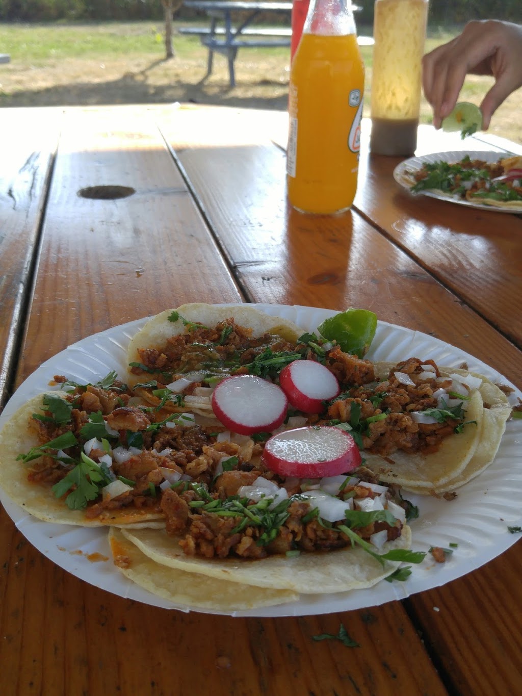 Tacos Tecalitlan | 5309 Guide Meridian, Bellingham, WA 98226, USA | Phone: (360) 223-2836