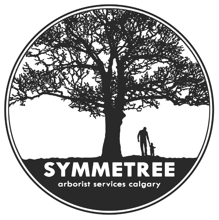 Symmetree Arborist Services | 138 Riverglen Park SE, Calgary, AB T2C 3Z1, Canada | Phone: (587) 229-8060