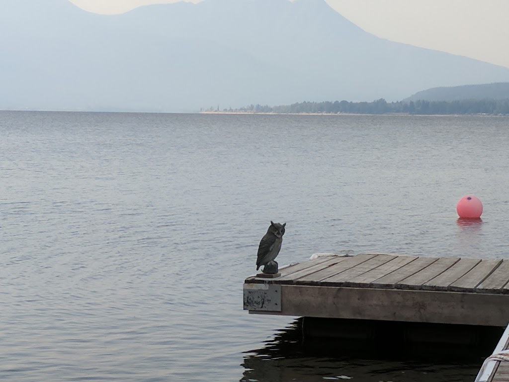 Sky Blue Waters Resort | 3463 Sunnybrae-Canoe Point Rd, Tappen, BC V0E 2X1, Canada | Phone: (250) 835-4531