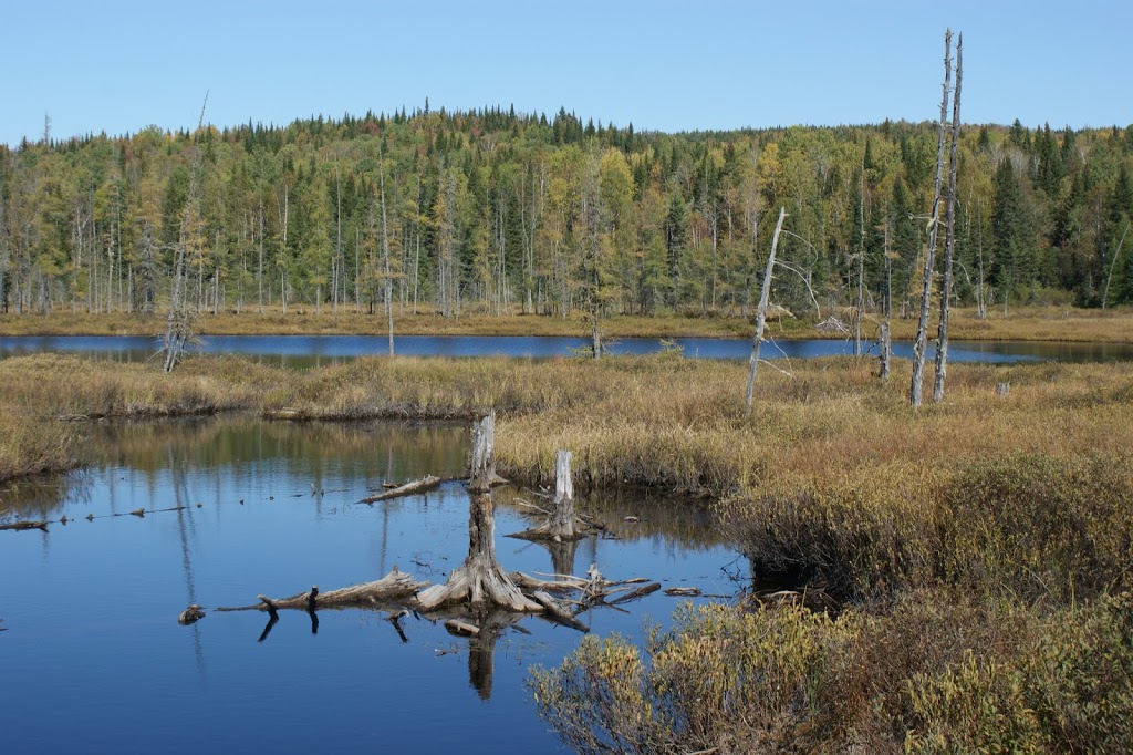 Zec des Nymphes | 1801 Chemin de la Branche à Gauche, Mandeville, QC J0K 1L0, Canada | Phone: (450) 835-1240