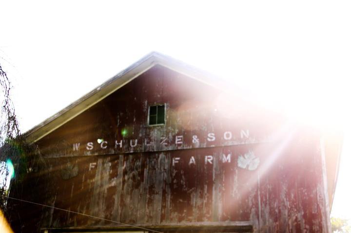 Schulze Vineyards & Winery | 2090 Coomer Rd, Burt, NY 14028, USA | Phone: (716) 778-8090