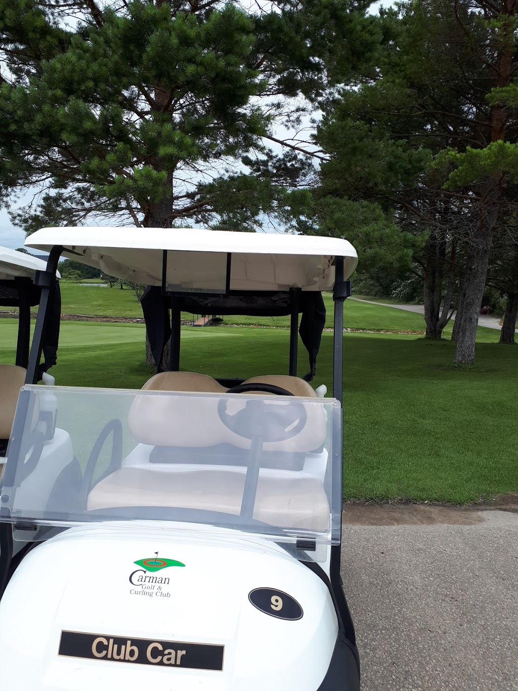 Carman Golf and Curling Club | 4 Ave SW, Carman, MB R0G 0J0, Canada | Phone: (204) 745-2366