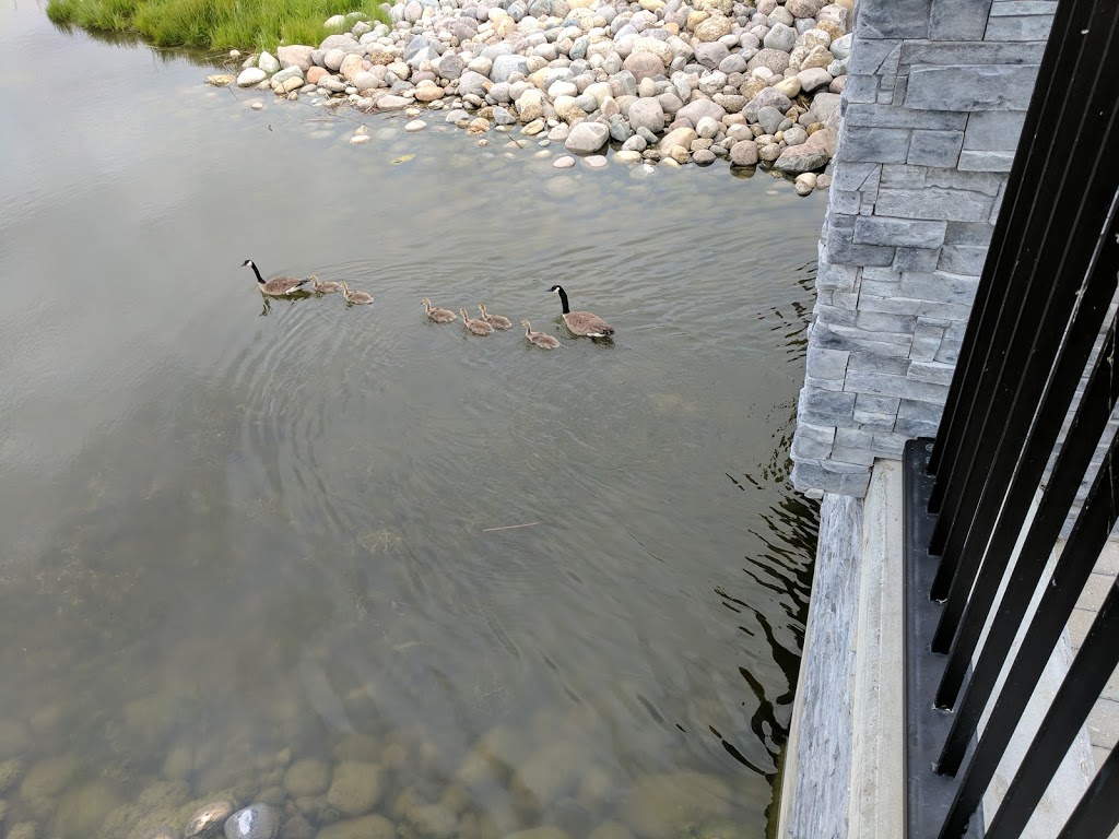 Scurfield Park | Whyte Ridge, Winnipeg, MB R3Y, Canada