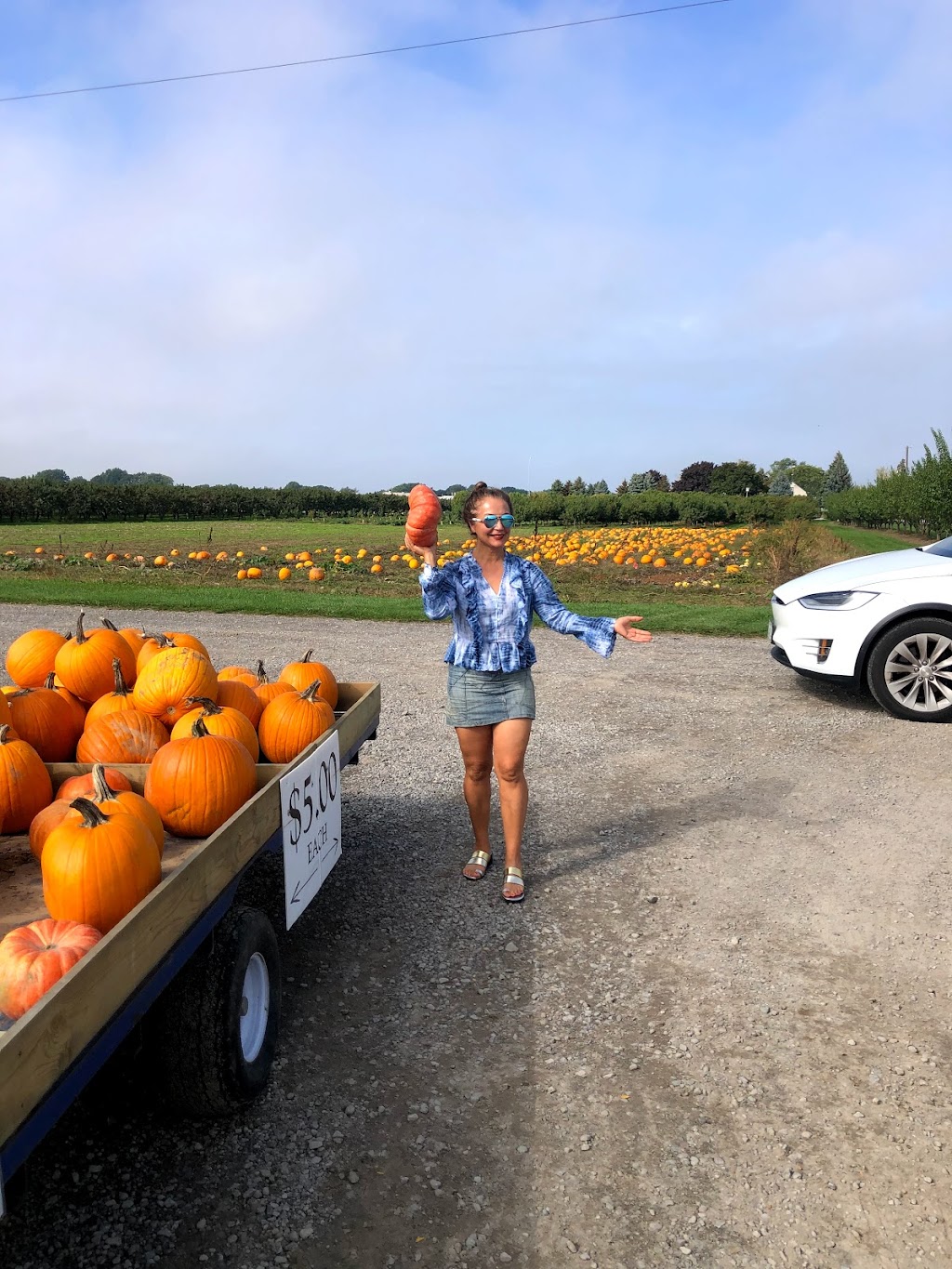Pineview Orchards | 4198 Jordan Rd, Jordan Station, ON L0R 1S0, Canada | Phone: (289) 968-5068