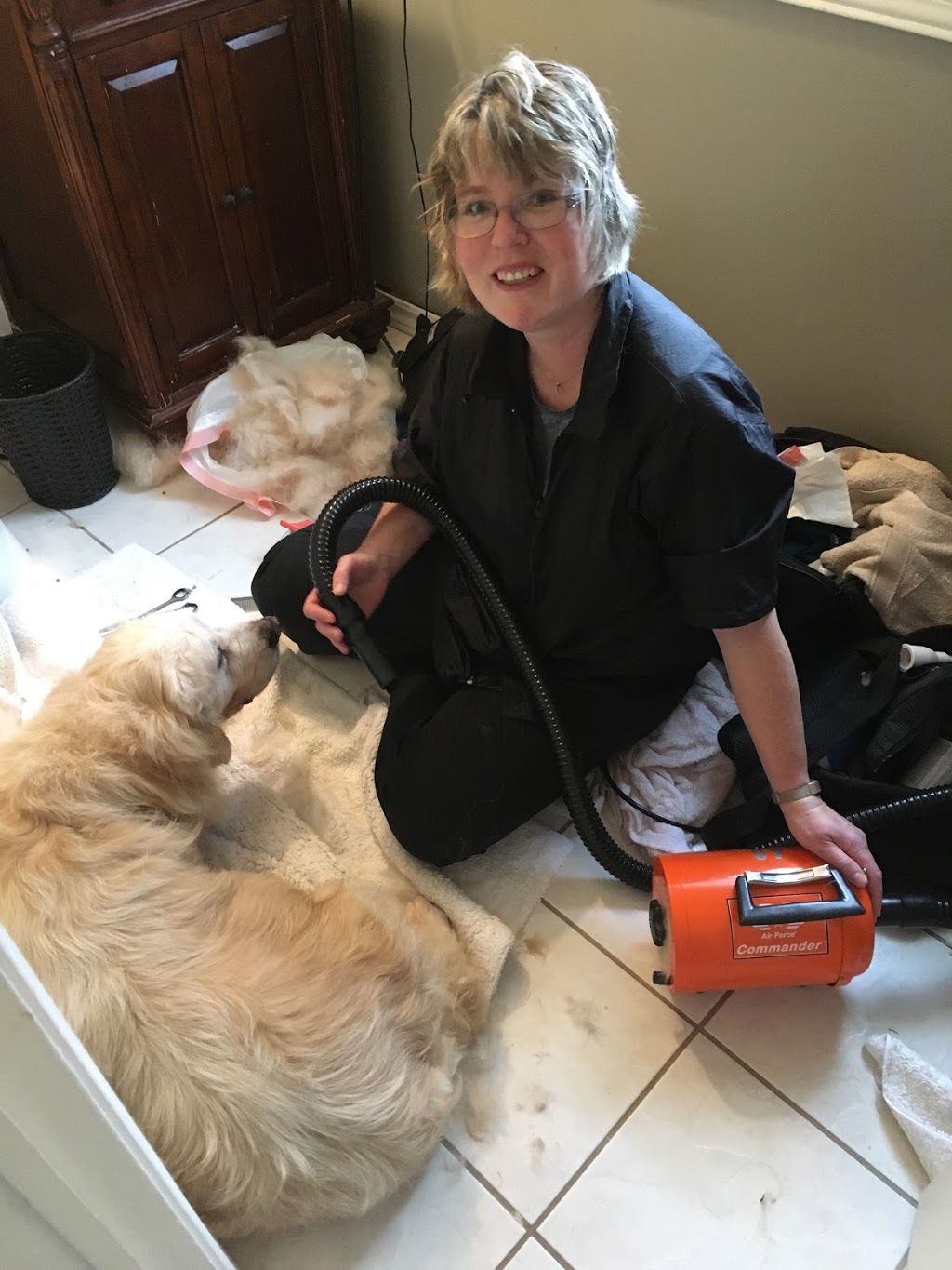 Short n Sweet Pet Grooming | 379 Prince of Wales Dr, Whitby, ON L1N 6M8, Canada | Phone: (289) 685-3364