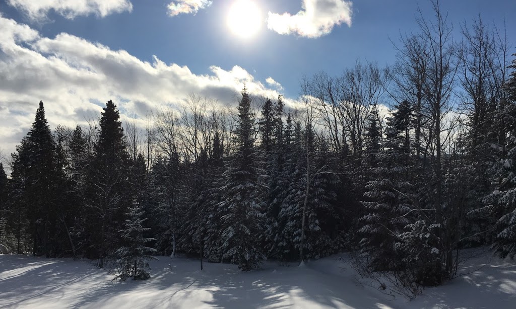 Gîte LÉcureuil | 264 Rue Principale, Petite-Rivière-Saint-François, QC G0A 2L0, Canada | Phone: (877) 632-1058